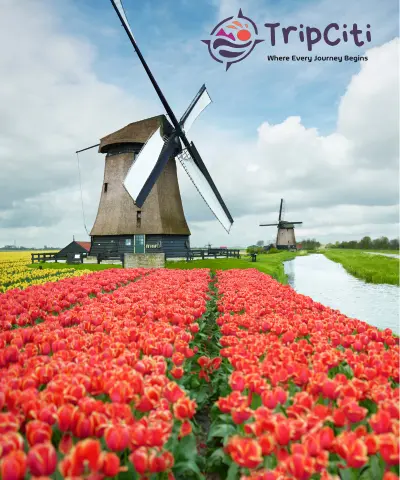 Netherlands
